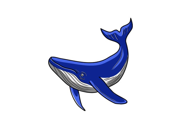baby blue whale