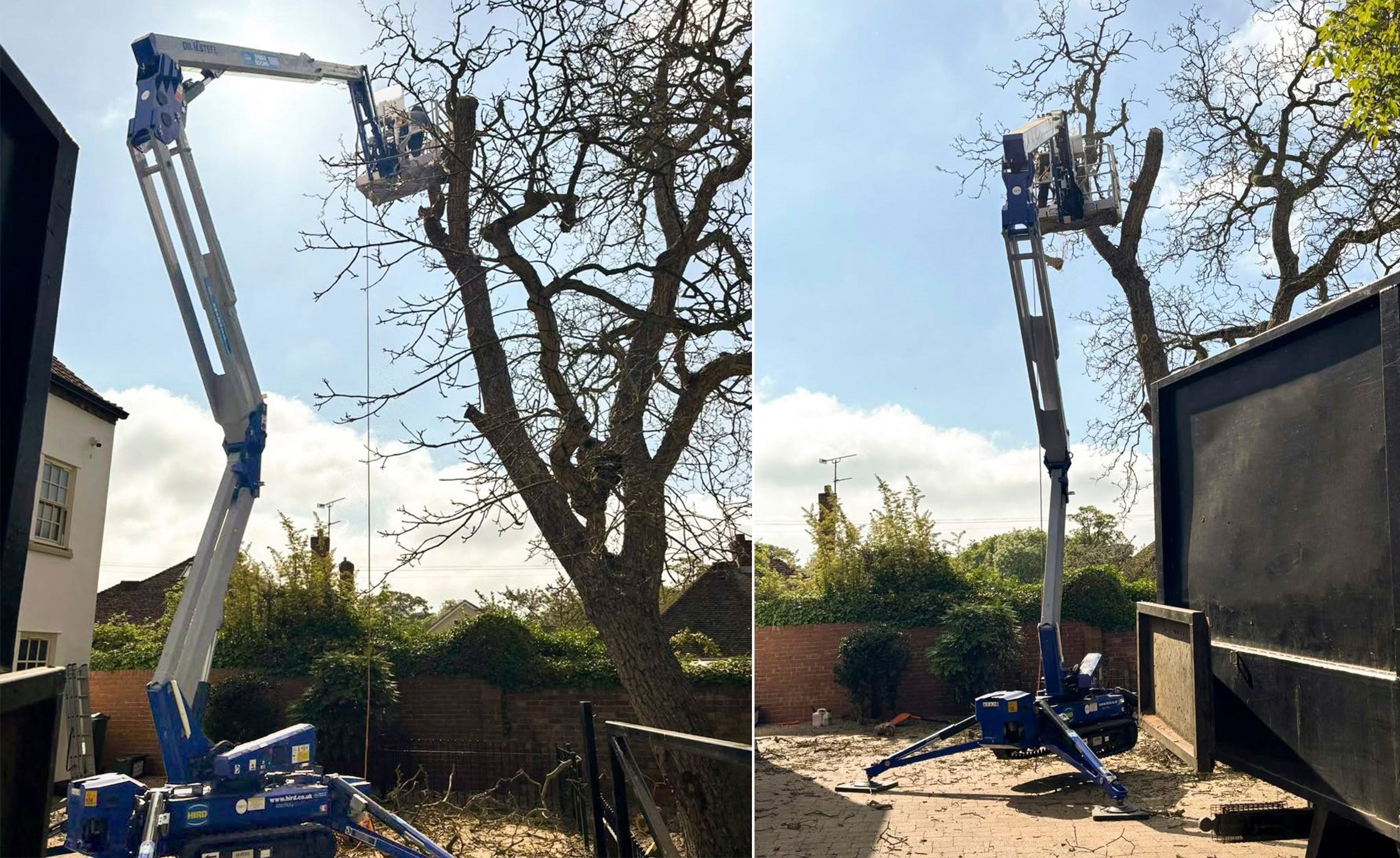Tree surgeons boost safety with spider lift hire from Hird