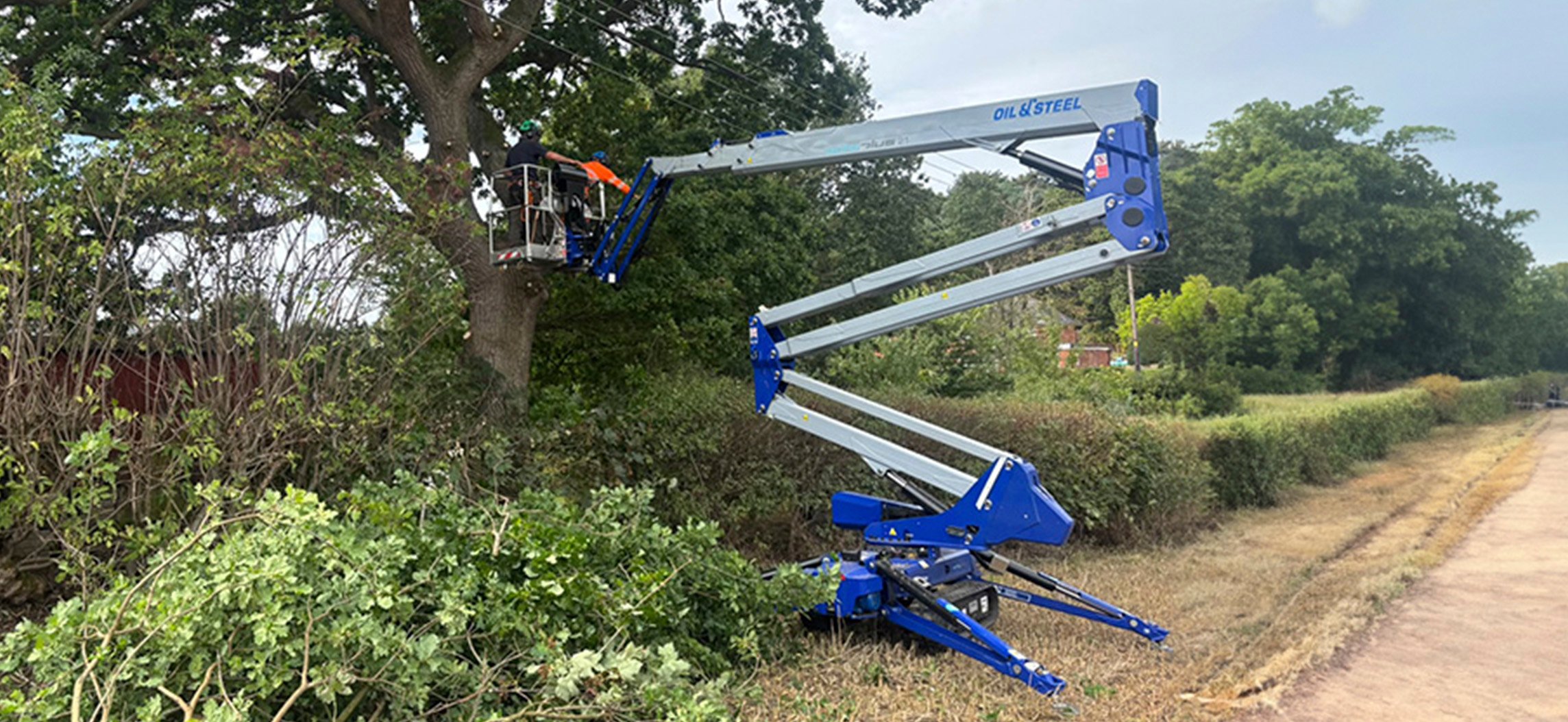 Tree maintenance – climate change triggers rise of spider lift