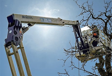 Tree surgeons boost safety with spider lift hire from Hird