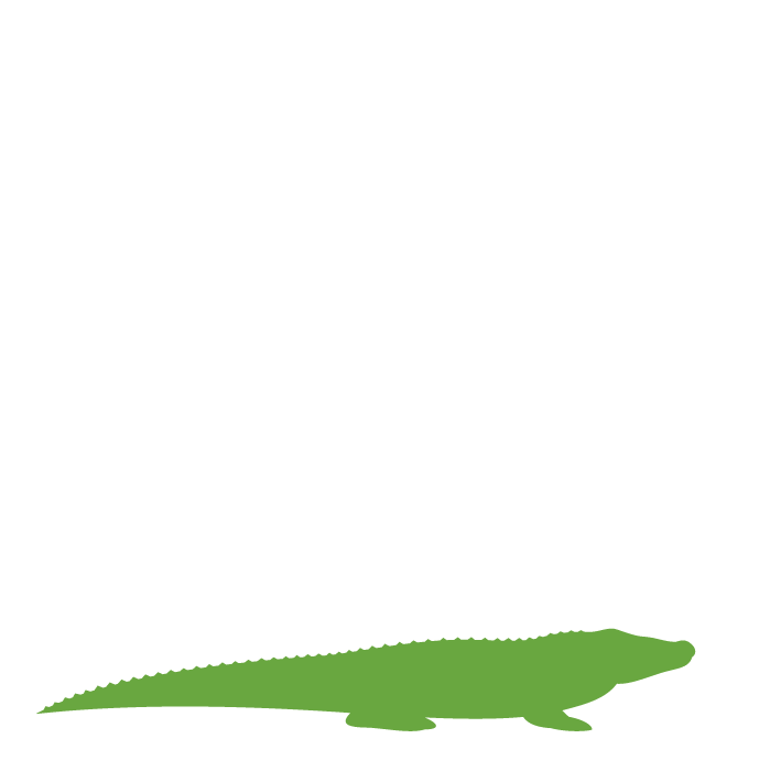 1 crocodile
