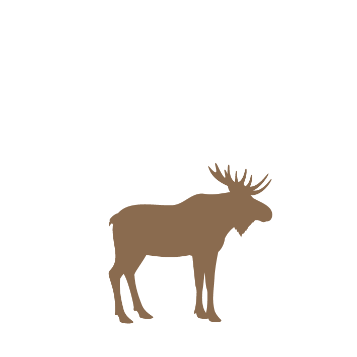1 moose