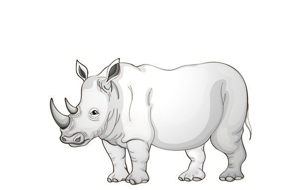 white-rhino-3-ton